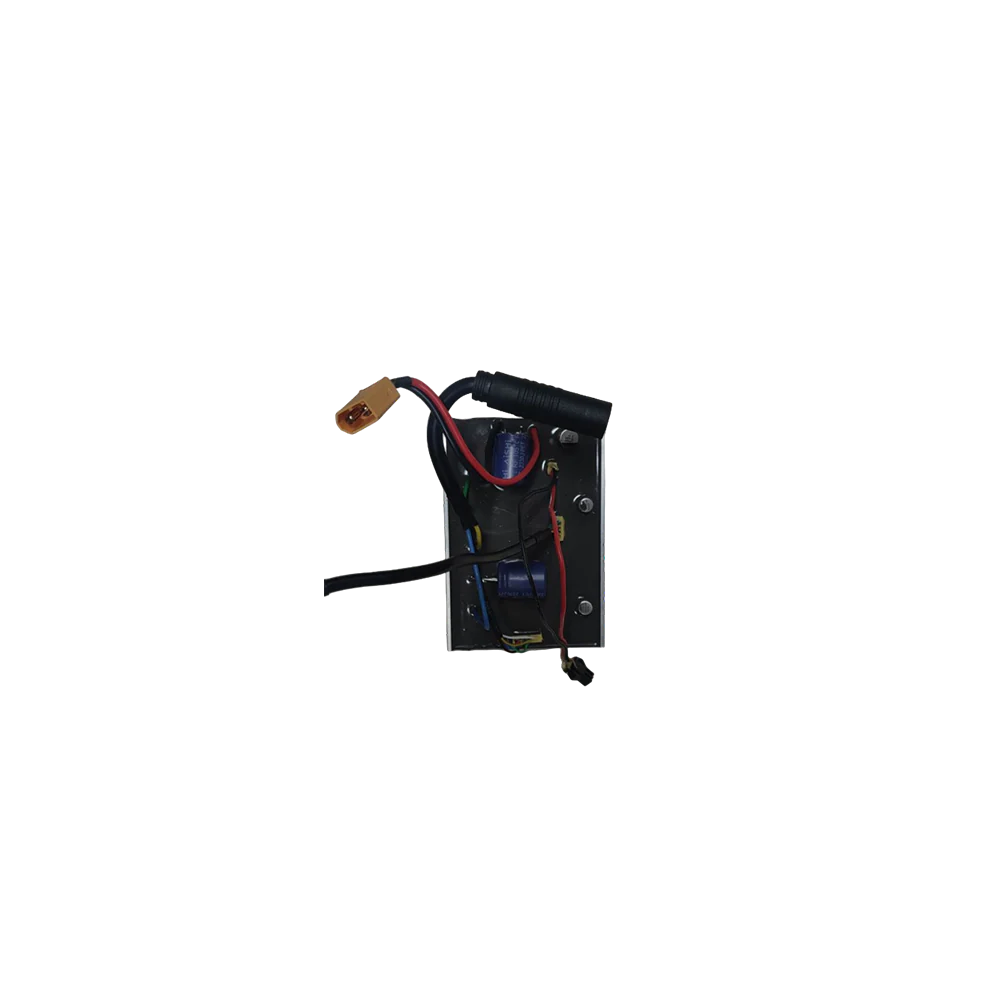 E20 Driver Assembly