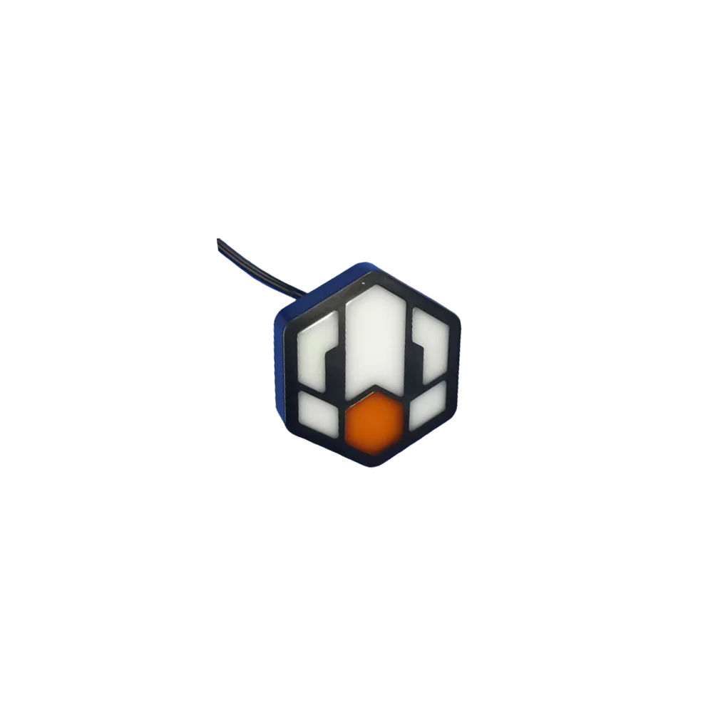 P6 Logo Light