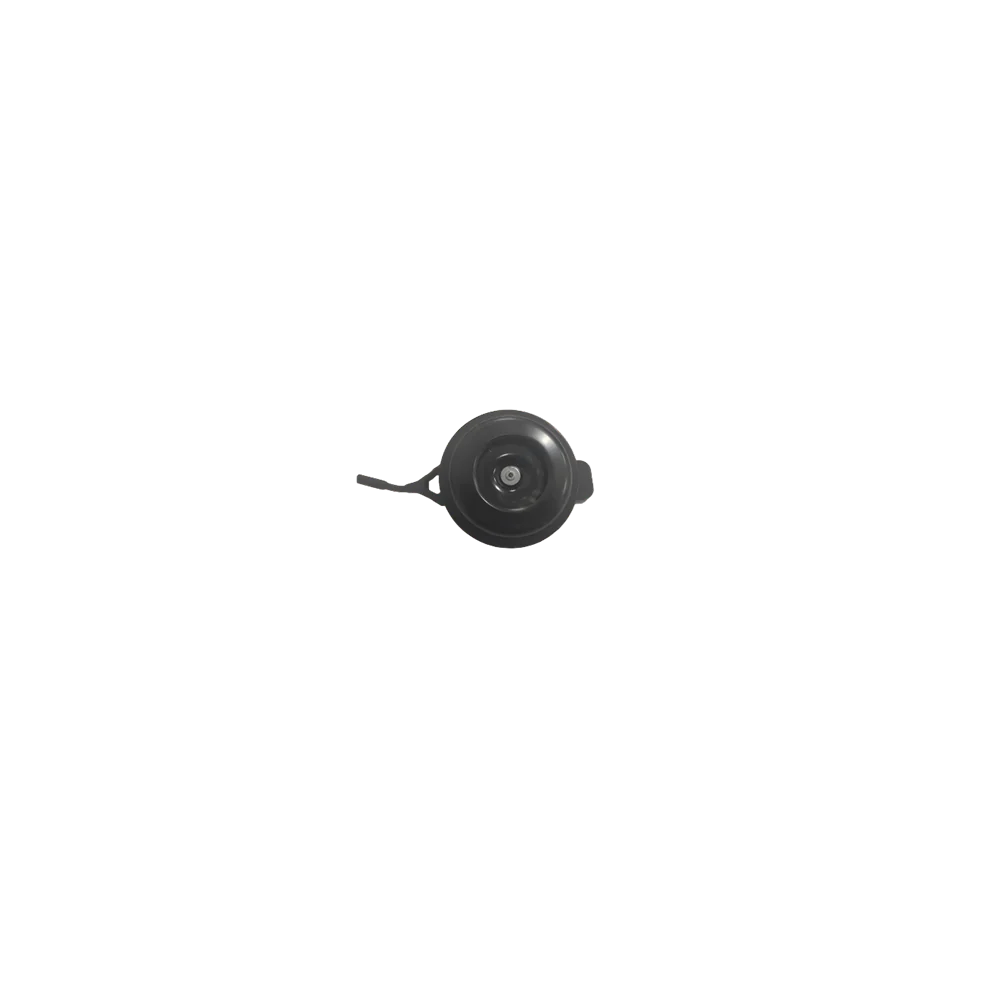 RS Horn